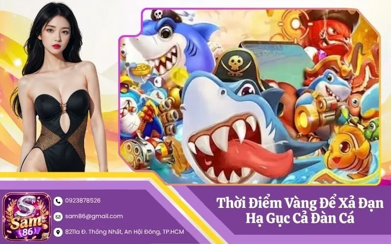 Thời Điểm Vàng Để Xả Đạn Hạ Gục Cả Đàn Cá